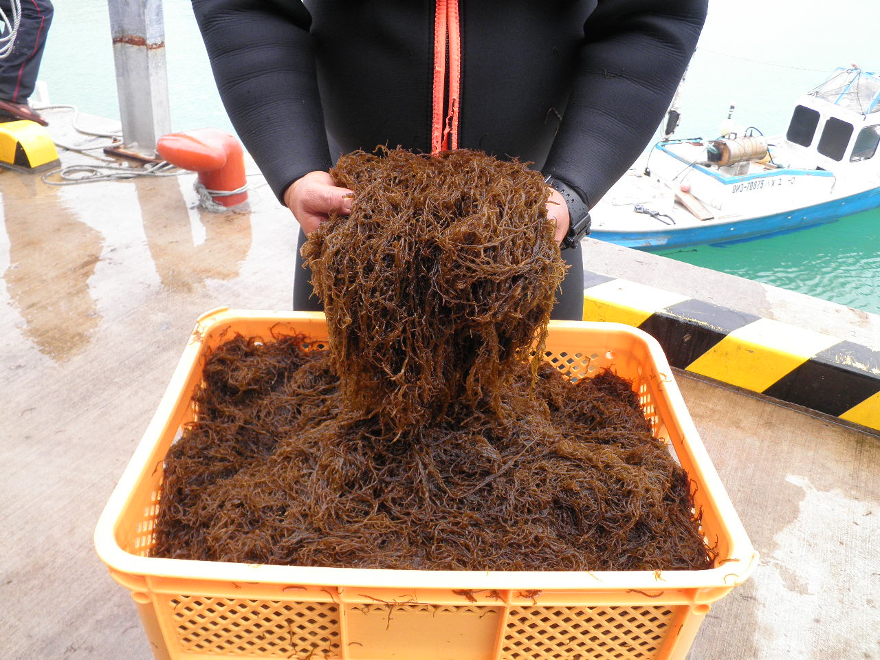 山忠食品工業株式会社