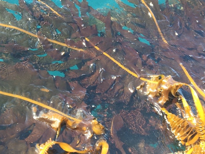 山忠食品工業株式会社