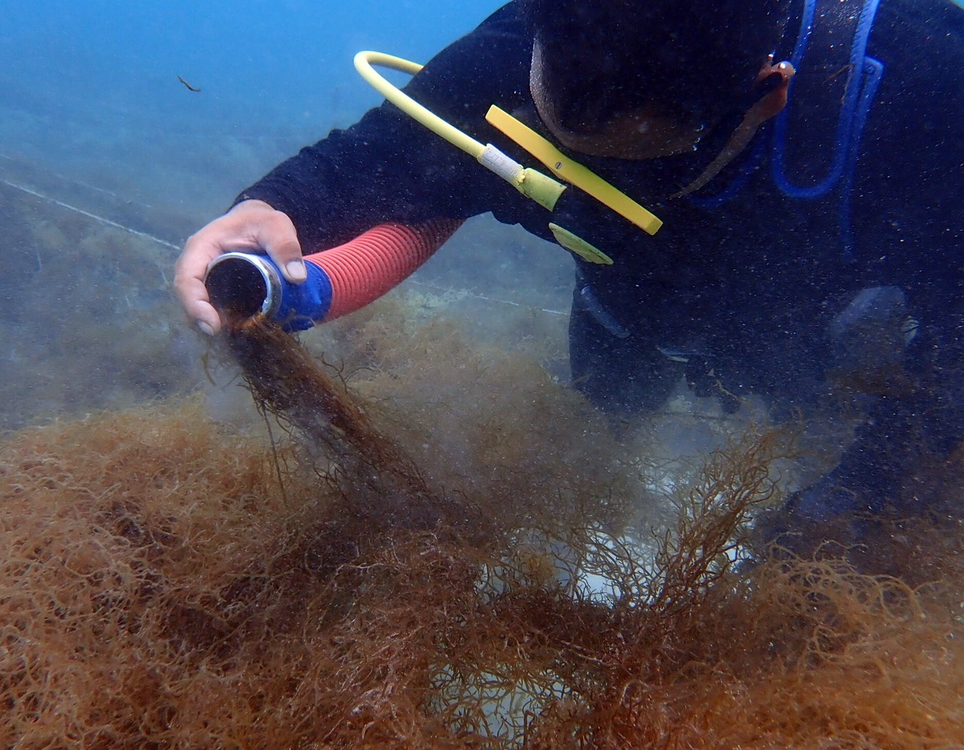 山忠食品工業株式会社