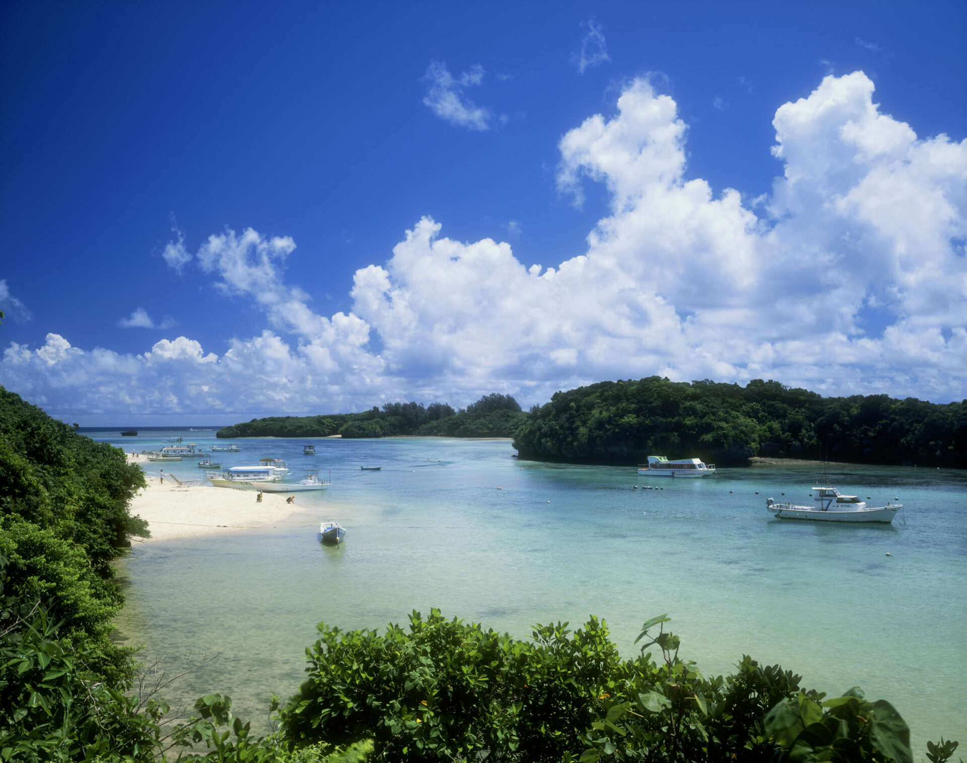 山忠食品工業株式会社