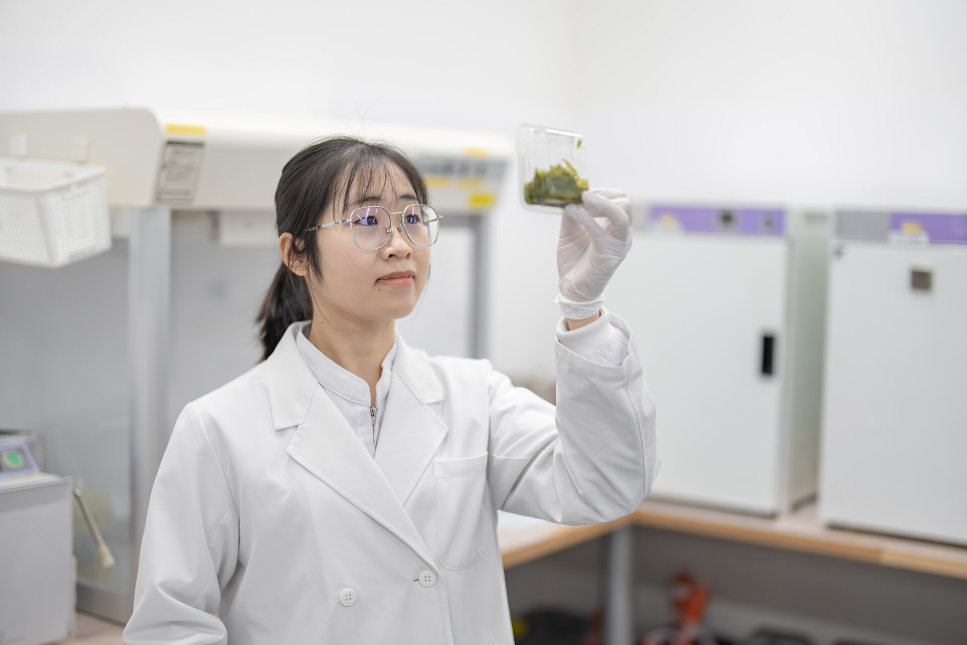 山忠食品工業株式会社